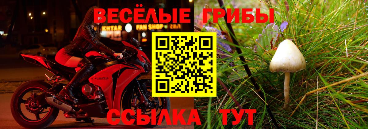 Уварово  Псилоцибиновые грибы Psilocybine cubensis  Вход с VPN 